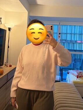 Uniqlo Japan Sweater